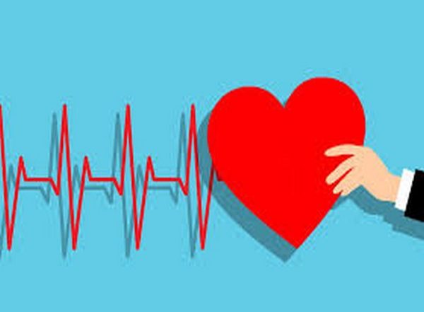 Infant Cardiac Surgery Associated With Adult Hypertension Risk