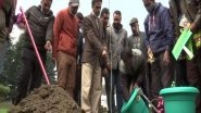 India News | Government Starts Plantation Drive to Preserve Heritage of Chinar Trees in J-K