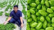 Hop Shoots, World's Most Expensive Vegetable Worth Rs 1 Lakh Per Kilogram, Grown in Bihar by Amresh Singh