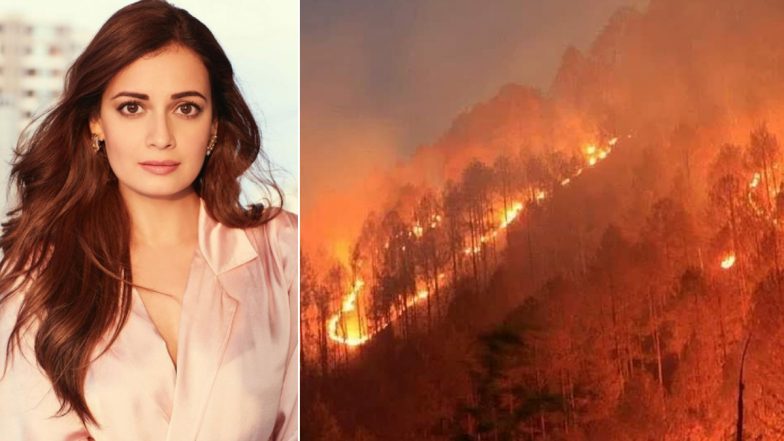 Dia Mirza Reacts to Uttarakhand Forest Fires, Says ‘This State Literally Cradles Our Future’
