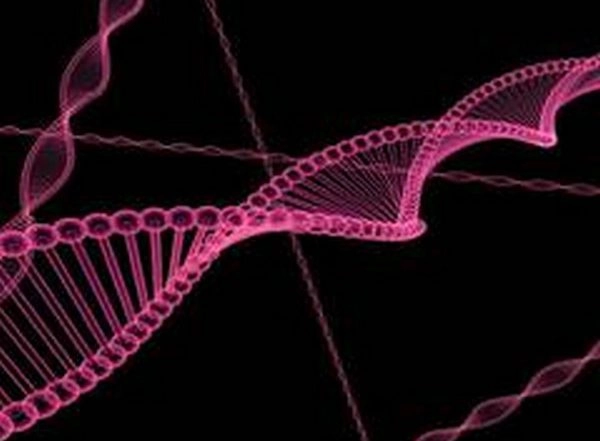 Wound Healing, Infection Can Be Determined by Genetics, Says Study
