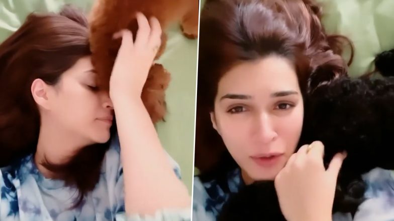 Kriti Sanon Reveals Her Special ‘Morning Facial’ Routine Involves Fur, Kisses and Licks! (Watch Video)