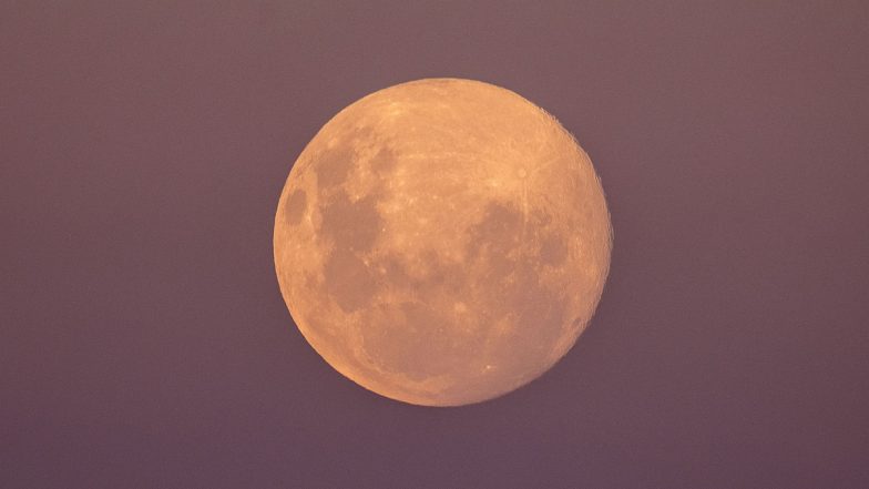 Pink Super Moon 2021 Pics Mesmerise Netizens as the Sprouting Grass Moon Rises over Bondi Beach in Sydney, Australia