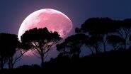 April Super Pink Moon 2021 FAQs: What Time is the Supermoon? How Often Does the Pink Moon Happen? Will it be Visible in India? 5 Frequently Asked Questions Answered