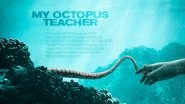 Oscars 2021: Netflix's My Octopus Teacher Nabs Best Documentary Feature Win at the 93rd Academy Awards