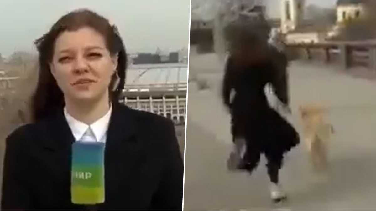 Adorable Dog Who Ran Away with Mic During Live Weather Broadcast Reunites with Reporter Leaving Netizens in Love with the Viral Video!