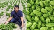 Bihar Man Growing Hop Shoots, World&rsquo;s Most Expensive Vegetable Worth Rs 1 Lakh Per Kg, Is Fake News! Know the Truth Behind the Fake Claims