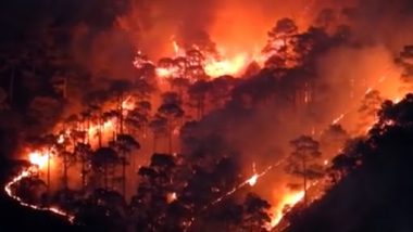 Uttarakhand Forest Fire: 4 People, 7 Animals Dead After Massive Blaze Erupts in 62 Hectares of Forest Area; Property Worth Rs 37 Lakh Destroyed