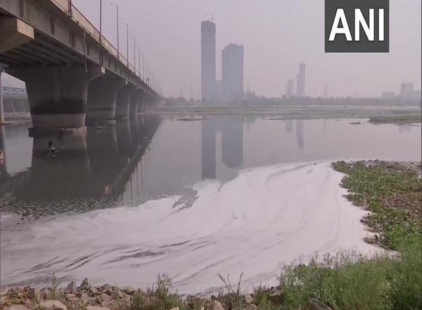 Yamuna Not Fit for Bathing Due to Lack of Minimum Flow of Water: Delhi Govt