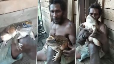Video of Frog 'As Big as Human Baby' Goes Viral After Villagers Find It in the Solomon Islands! Know More About the Rare Cornufer Guppyi Frogs That Can Weigh Upto 1kg