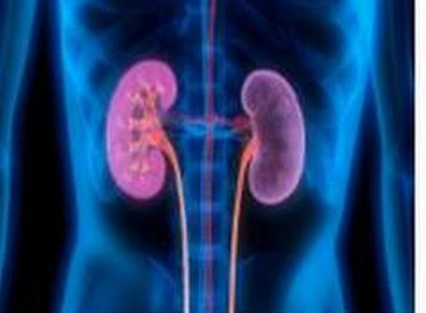 Changes in Proteins Play Important Role in Ageing Kidneys, Says Study
