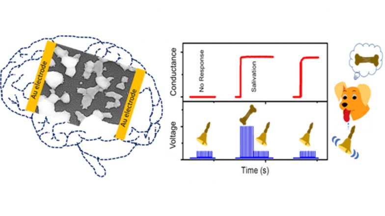 Scientists Develop Efficient Artificial Synaptic Network That Mimics Human Brain