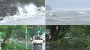 Cyclone Tauktae Impact in Goa: Heavy Rainfall, Strong Winds Batter Coastal State; Power Supply Hit