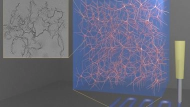 Science News | Researchers Develop 3D-printed Jelly