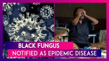 Black Fungus Notified As Epidemic Disease: Centre Directs States To Notify Mucormycosis