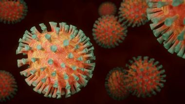 COVID-19 Strain B.1.617.2 First Detected in India to Be Called 'Delta Variant', WHO Announces Labels of Coronavirus Variants Using Greek Alphabets