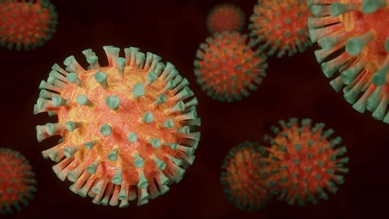COVID-19 Strain B.1.617.2 1st Detected in India to Be Called 'Delta Variant', Says WHO