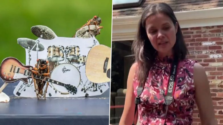 Photographer Collects Cicadas From Her Backyard And Creates A Miniature World With Bugs, Fire Trucks and Olympics (Watch Video)