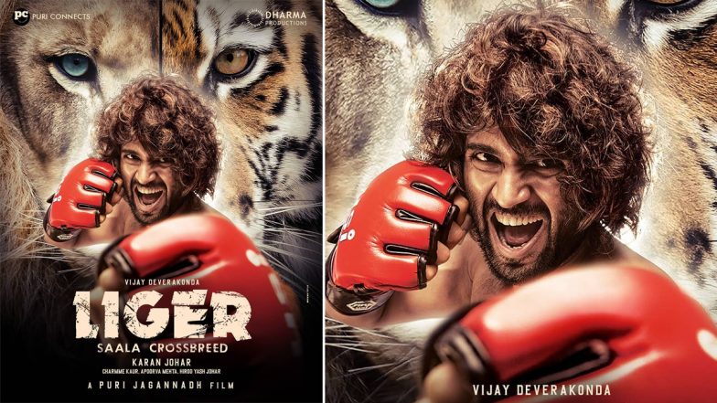 Liger: Vijay Deverakonda, Ananya Panday’s Film’s Post-Theatrical Rights Acquired by Amazon Prime Video for Rs 60 Crore – Reports