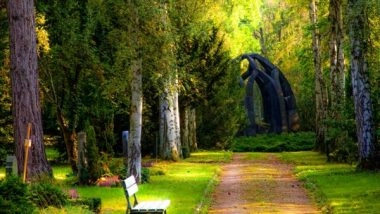 Lifestyle News | Drexel Study: Parks Not Only Safe, but Essential During Pandemic