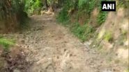 India News | Unmotorable Road Forces Assam Ambulance Driver to Carry Covid Patient on Bicycle