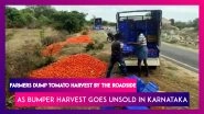 Karnataka: Farmers Forced To Dump Tomato Harvest BY The Roadside As Bumper Harvest Goes Unsold