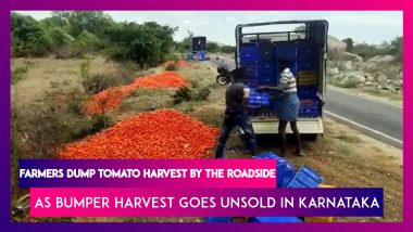 Karnataka: Farmers Forced To Dump Tomato Harvest BY The Roadside As Bumper Harvest Goes Unsold