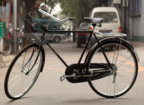 Maharashtra Forest Official Nanasaheb Ladkat Cycles 294 Km to Take Charge After Getting Transferred from Pune to Kolhapur