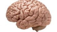 Science News | Researchers Develop Diagnostic Tool to Predict Individual Risk of Alzheimer's