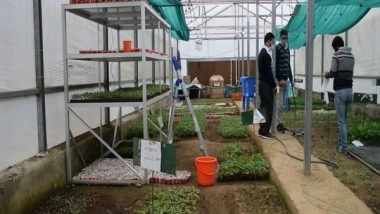 India News | Polyhouse in Shopian Provides Quality Seedlings,  Helps Farmers Boost Their Income