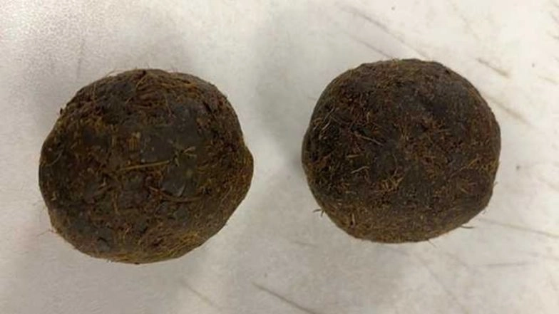 Chhattisgarh: 800 kg Cow Dung Worth Rs 1,600 Stolen From Village in Korba District