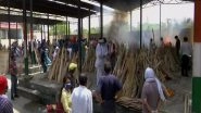Gujarat-Based Businessman Sanjay Rai Sets Up Firewood Bank for Cremations in Uttar Pradesh