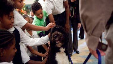 Barack Obama Announces Death of Former US 'First Dog' Bo, Says 'Lost True Friend'