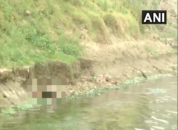India News | Bodies Wash Up on Shores of River Ganga in UP's Ghazipur