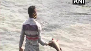 India News | Bhopal Fishermen Say Facing Losses Due to Covid-19 Lockdown