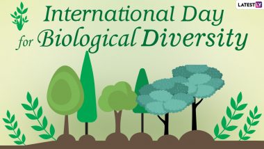 Happy International Day for Biological Diversity 2021 Wishes, HD Images, Greetings, GIFs, Quotes & Telegram Quotes to Create Awareness About the Ecosystem