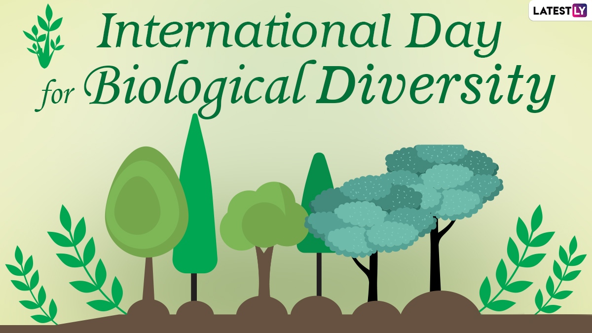 Festivals & Events News Happy International Day for Biological