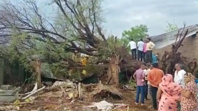 Cyclone Tauktae: 2 Dead, 1 Injured After Tree Uprooted And Collapsed on Hut in Jalgaon