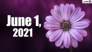 June 1, 2021: Which Day Is Today? Know Holidays, Festivals and Events Falling on Today&rsquo;s Calendar Date