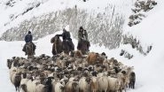 World News | Winter Pasture: Book Describing Hardships Endured by Ethnic Kazakh Herders of Xinjiang Now Available to Wider Audience