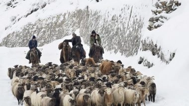 World News | Winter Pasture: Book Describing Hardships Endured by Ethnic Kazakh Herders of Xinjiang Now Available to Wider Audience