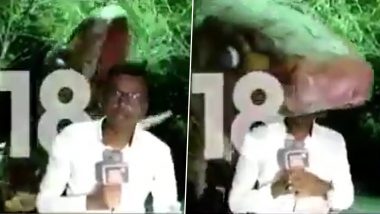 Assam Reporter's Dramatic Reporting From 'Snake's Mouth' Leaves Netizens In Splits; Watch Viral Video Getting Hilarious Reaction