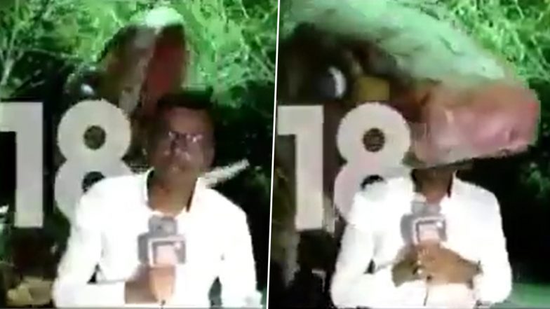 Assam Reporter's Dramatic Reporting From 'Snake's Mouth' Leaves Netizens In Splits; Watch Viral Video Getting Hilarious Reaction