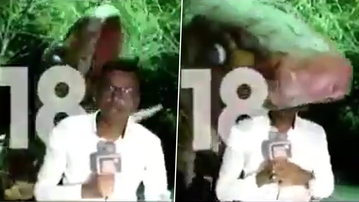 Assam Reporter’s Dramatic Reporting From ‘Snake’s Mouth’ Leaves Netizens In Splits; Watch Viral Video Getting Hilarious Reaction