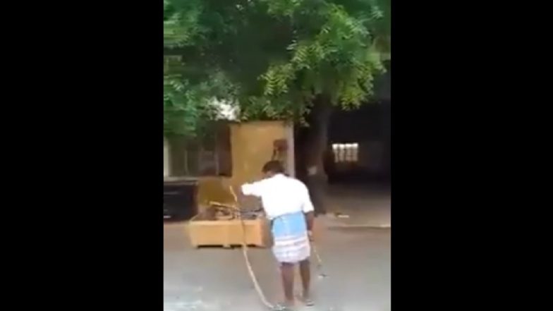 Tamil Nadu Man Catches Snake, Puts it Inside Folds of His Lungi; Old Video Goes Viral