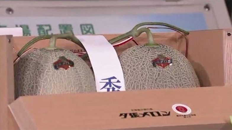 Japan's Yubari Melons Sell for Almost $25,000 at Hokkaido Traditional Auction