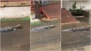 Monitor Lizard Spotted Strolling During Cyclone Yaas, Video Claiming to be from Bangur Avenue in Kolkata Goes Viral