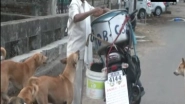 India News | Nagpur Man Feeding 190 Stray Dogs with Chicken Biryani Since Beginning of Pandemic