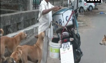 India News | Nagpur Man Feeding 190 Stray Dogs with Chicken Biryani Since Beginning of Pandemic