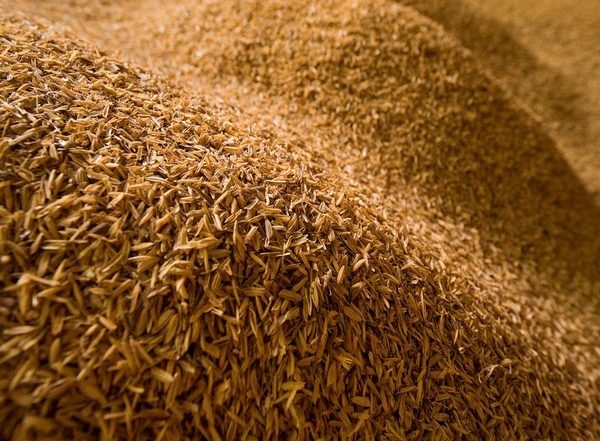 India Supplies 11,000 MT of Rice To Sri Lanka Ahead of New Year and Under Concessional Indian Credit Facility of $ 1 Billion